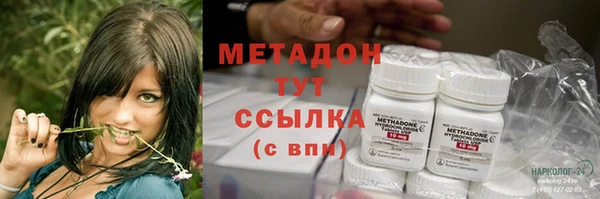 PSILOCYBIN Алзамай