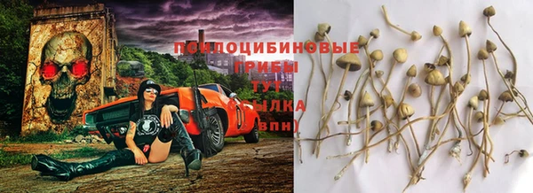кокс Алексеевка
