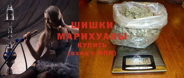 PSILOCYBIN Алзамай