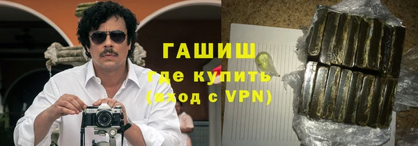 PSILOCYBIN Алзамай